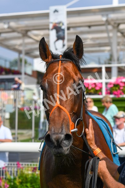 100923-Race 1-The Coffee Pod-0442 - Race 1 1.40pm Ire Incentive, It Pays To Buy Irish EBF Novice Stakes