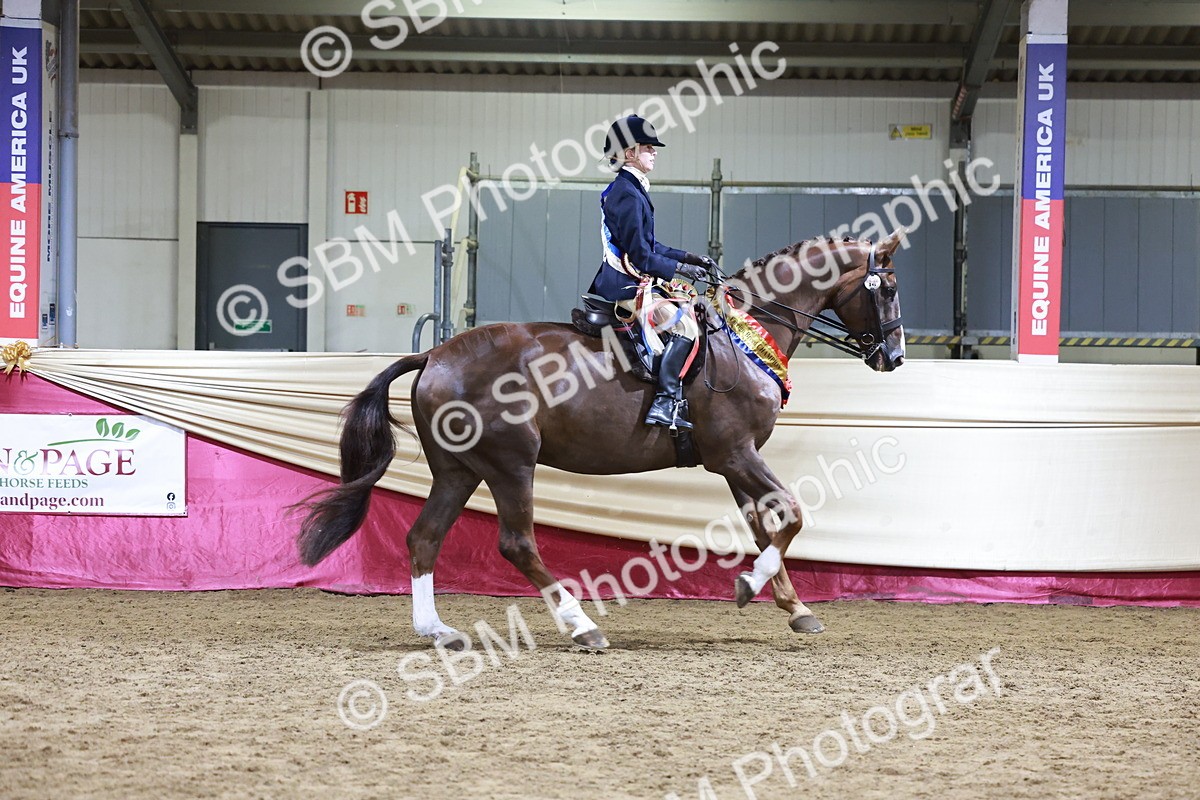 SBM_20723 - Class J - Foreign Breeds Champ