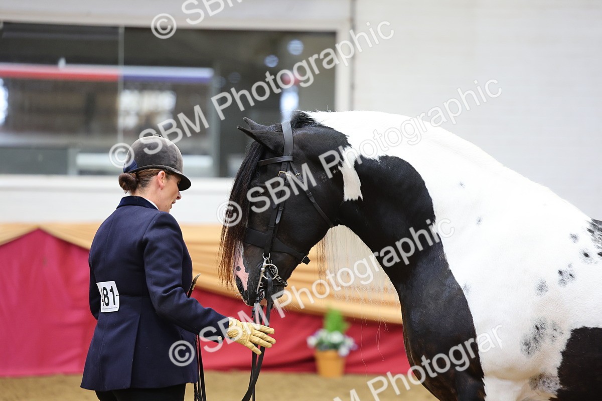 SBM_22758 - Class 903 - Supreme Final - IH Pre Vet