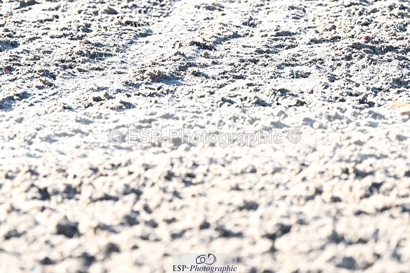 231110-101346-00031 - Cls 2 Prelim 17(a)Q