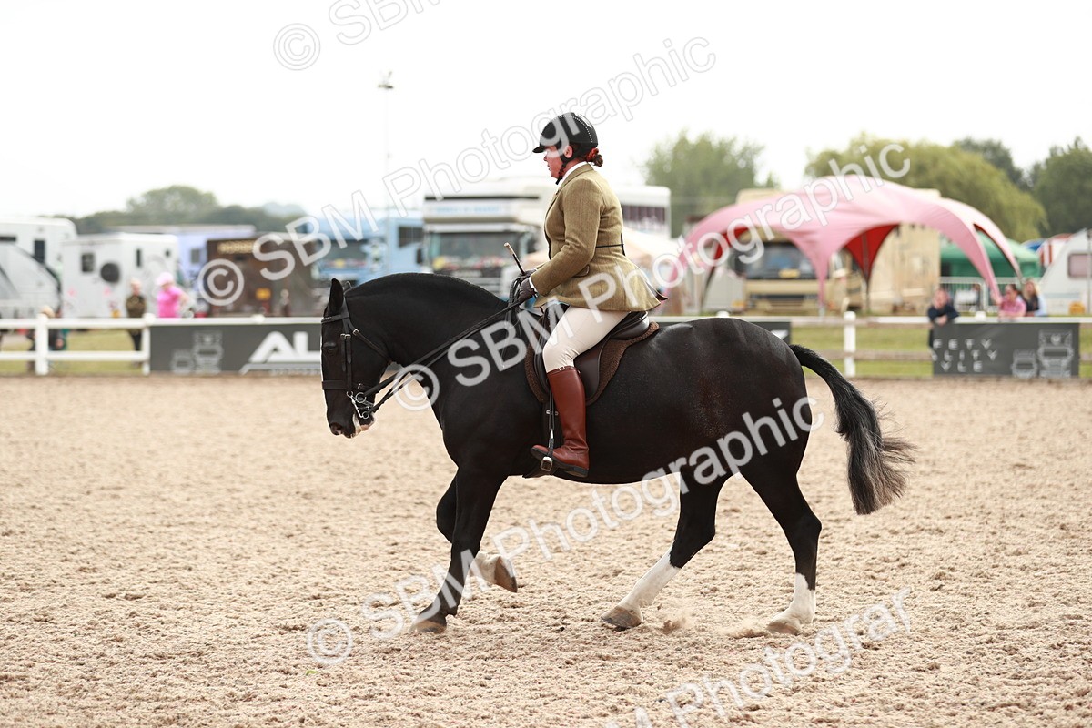 SBM_16718 - Class 214 Ridden Cob