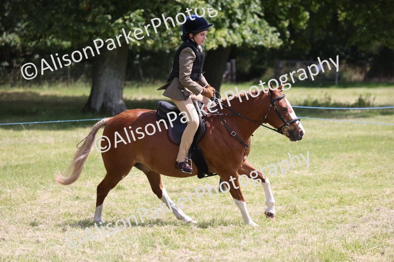 20260614-1945 - Class 21 - Novice Working Hunter Pony