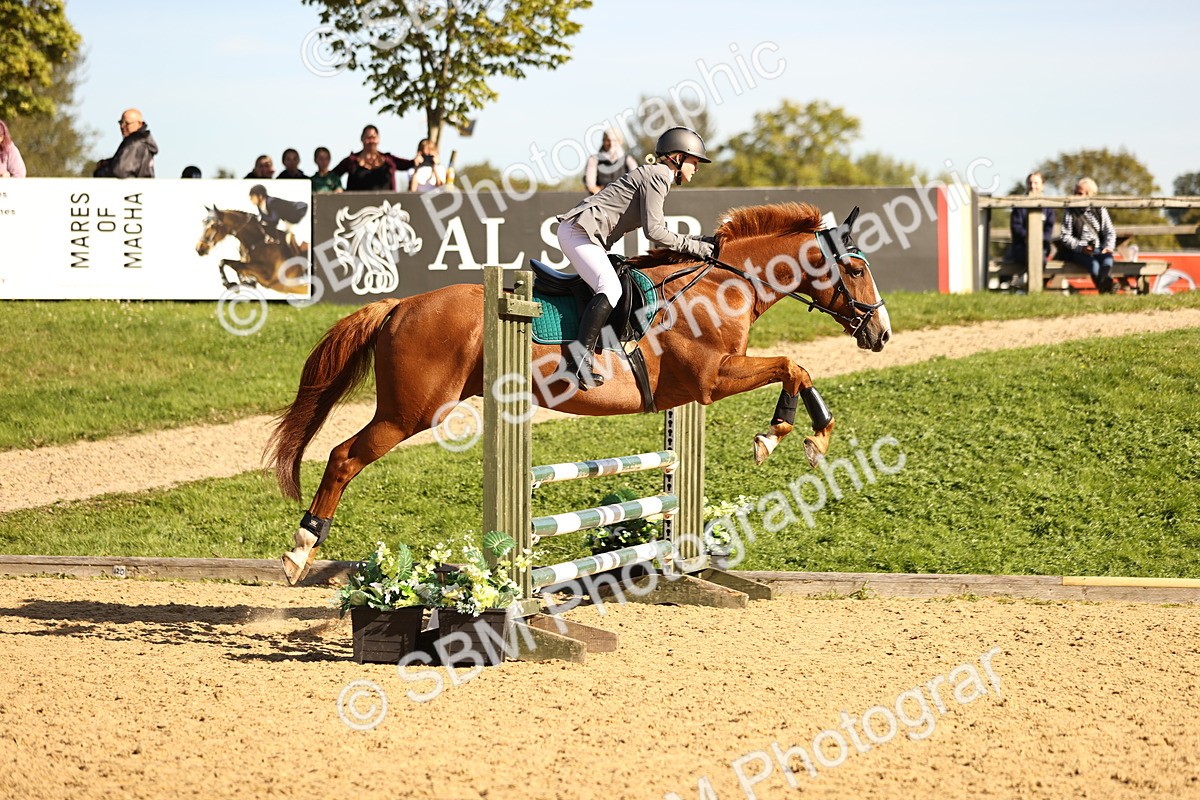 SBM_38104 - J39 - Senior 85cm Championship