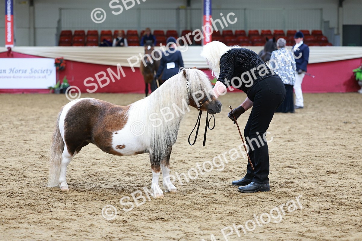 SBM_17341 - Class 951 - M&M IH Supreme Final