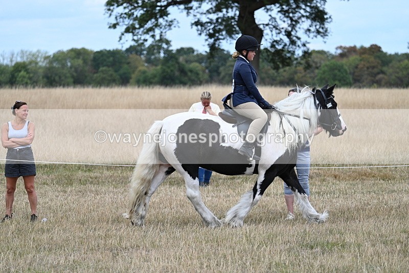 WJ7_4811 - Class 12 Ridden Cob