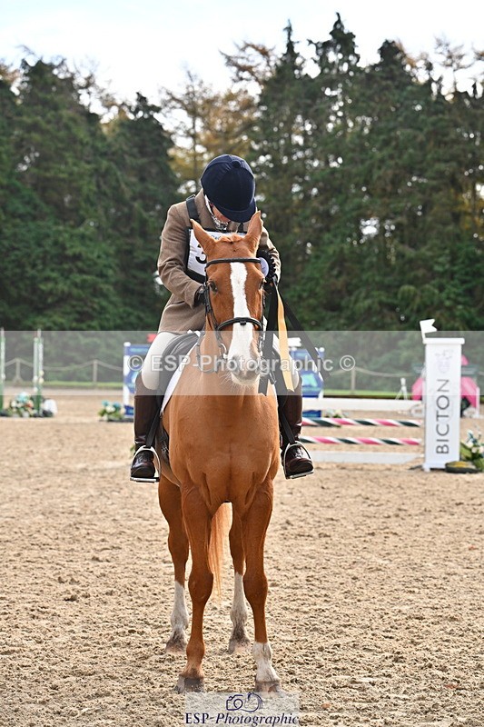 251026A-123257-24395 - 100 Presentations