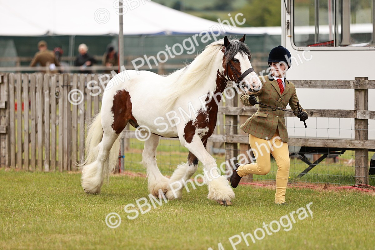 SBM_06034 - Class 39-41 TGCA In Hand and Ridden
