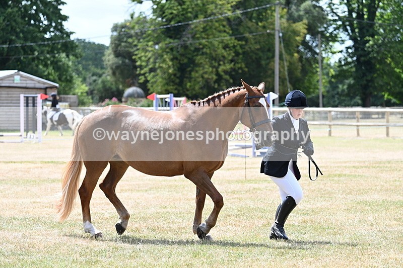 WJ7_1995 - Class 4a Prettiest Mare 14.2hh and over hand
