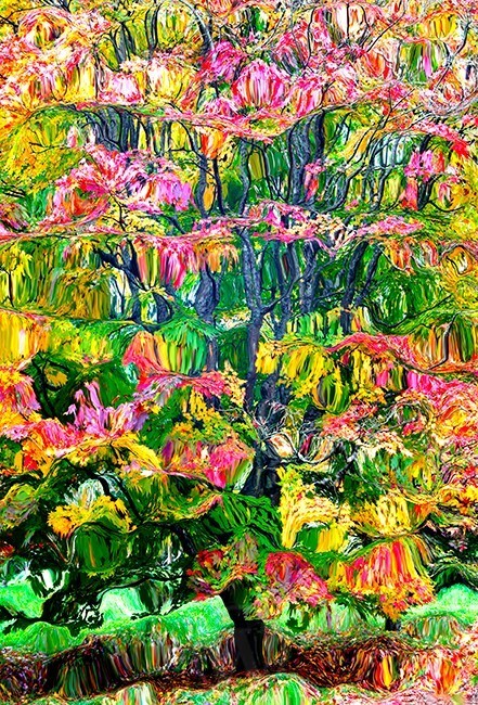 Acera Abstract - Abstracts