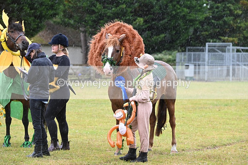 WJ6_9391 - Class 11 Fancy Dress