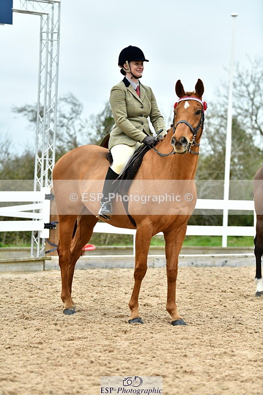 230416A-144525-05299 - Cls 64 Racehorse to Show Horse