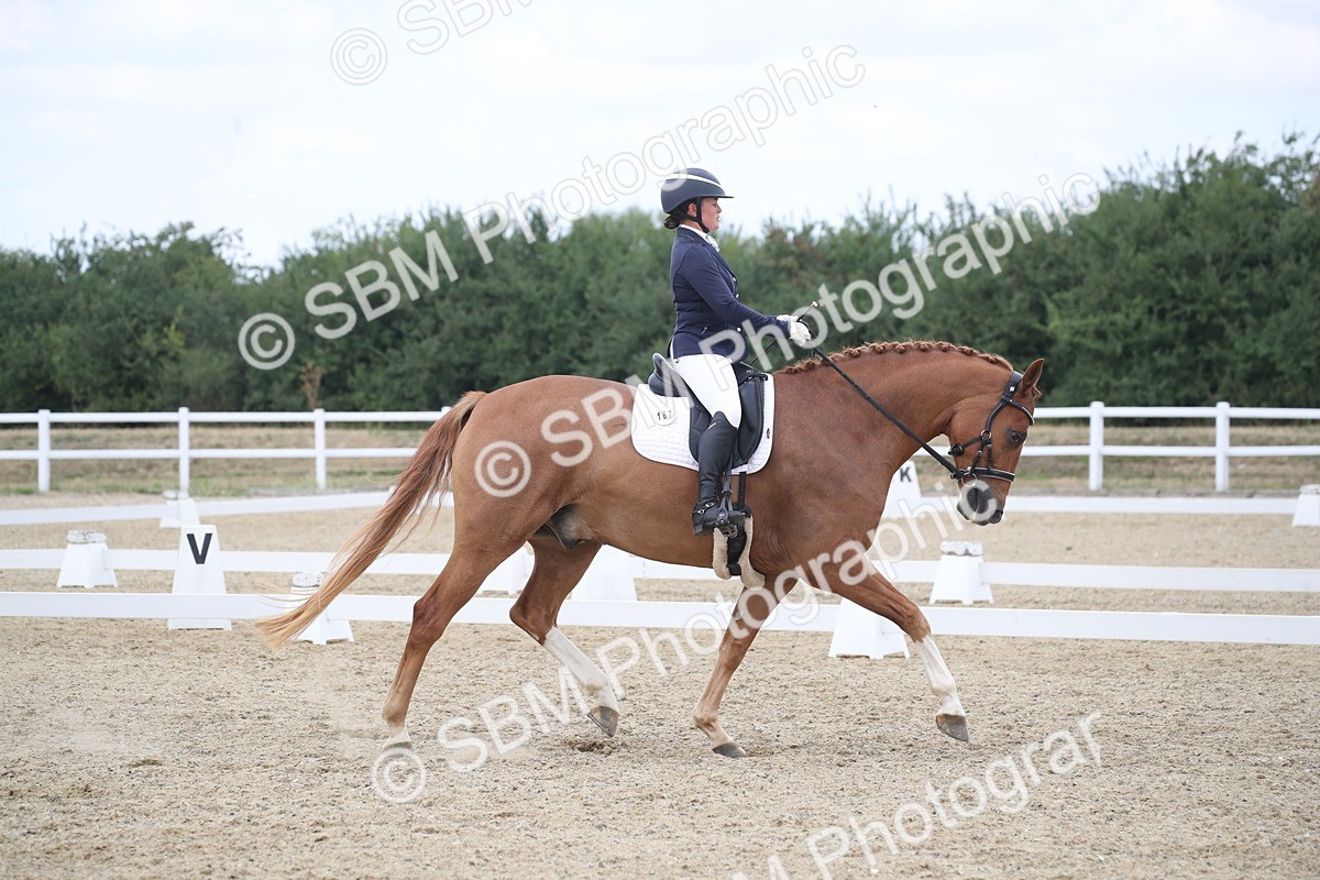 SBM_008909 - Novice 5 - 13.29-14.18