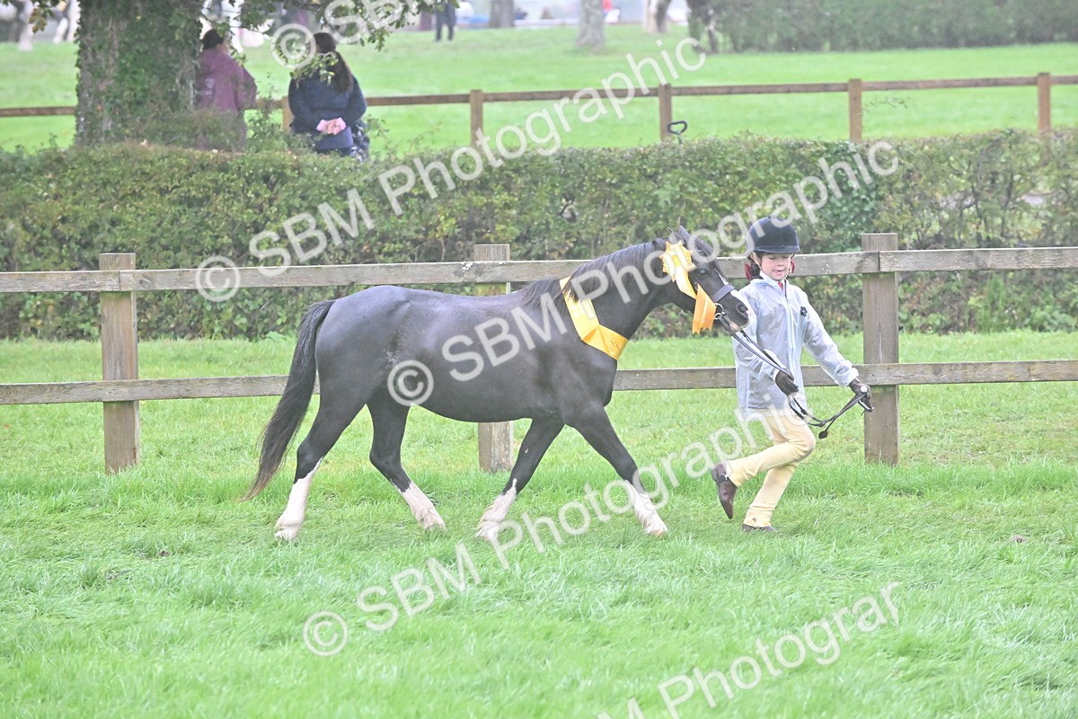 SBM_72152 - Equitation Supreme Championship