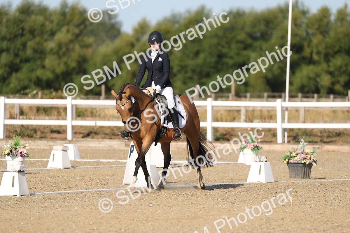 SBM_012606 - Class 1 - P5 Bronze 9.00.10.12