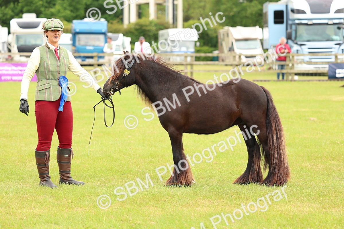 SBM_06311