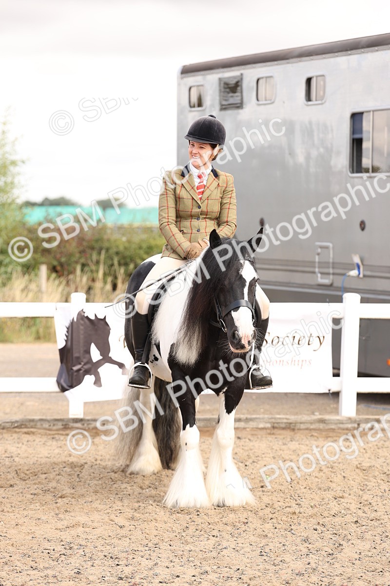 SBM_04254 - Class 54 - Riding Club Horse/Pony