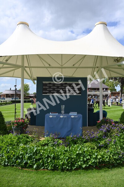 yr10062022r4-49 - Race 4 3.30pm Seat Unique Ganton Stakes