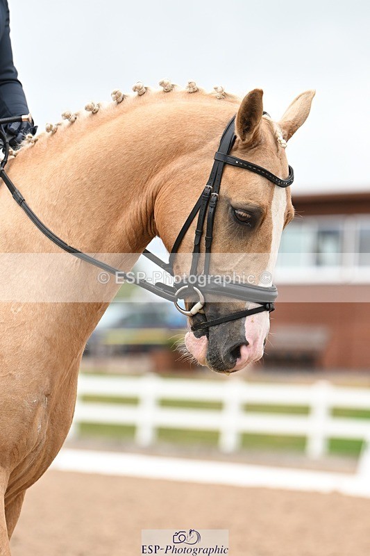 250705-175527-02698 - N1 Section BDNOV1 1350 to 15.28