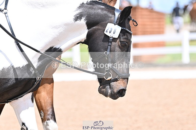 240706A-140408-03133 - Cls 7 Pairs