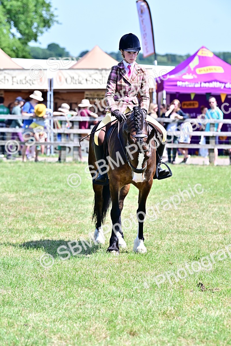 SBM_15411 - Class 95-97 - BSPS LHS Performance Ponies