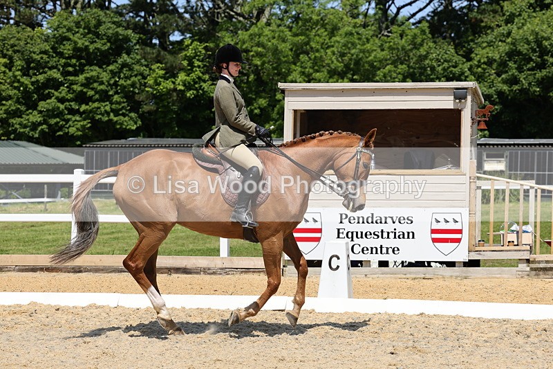 1X9A1835 - Class 12: Ridden Riding Horse/Hack