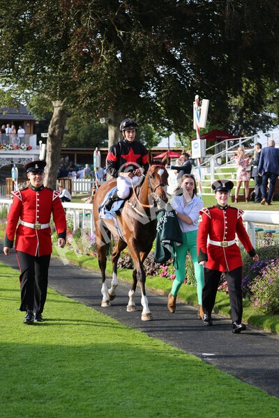 yr05092021r7-40 - Race 7 5.10pm Yorkshire Regiment Stakes
