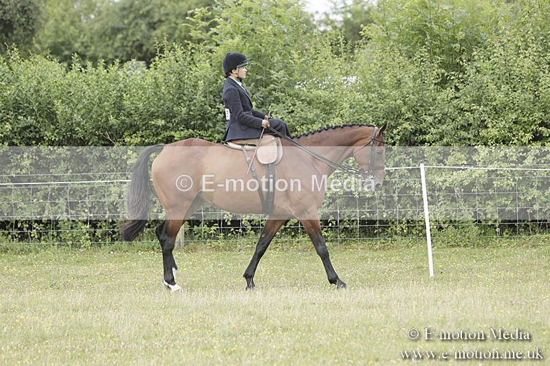BVR160717-2337 - Side Saddle Classes 16/07/17