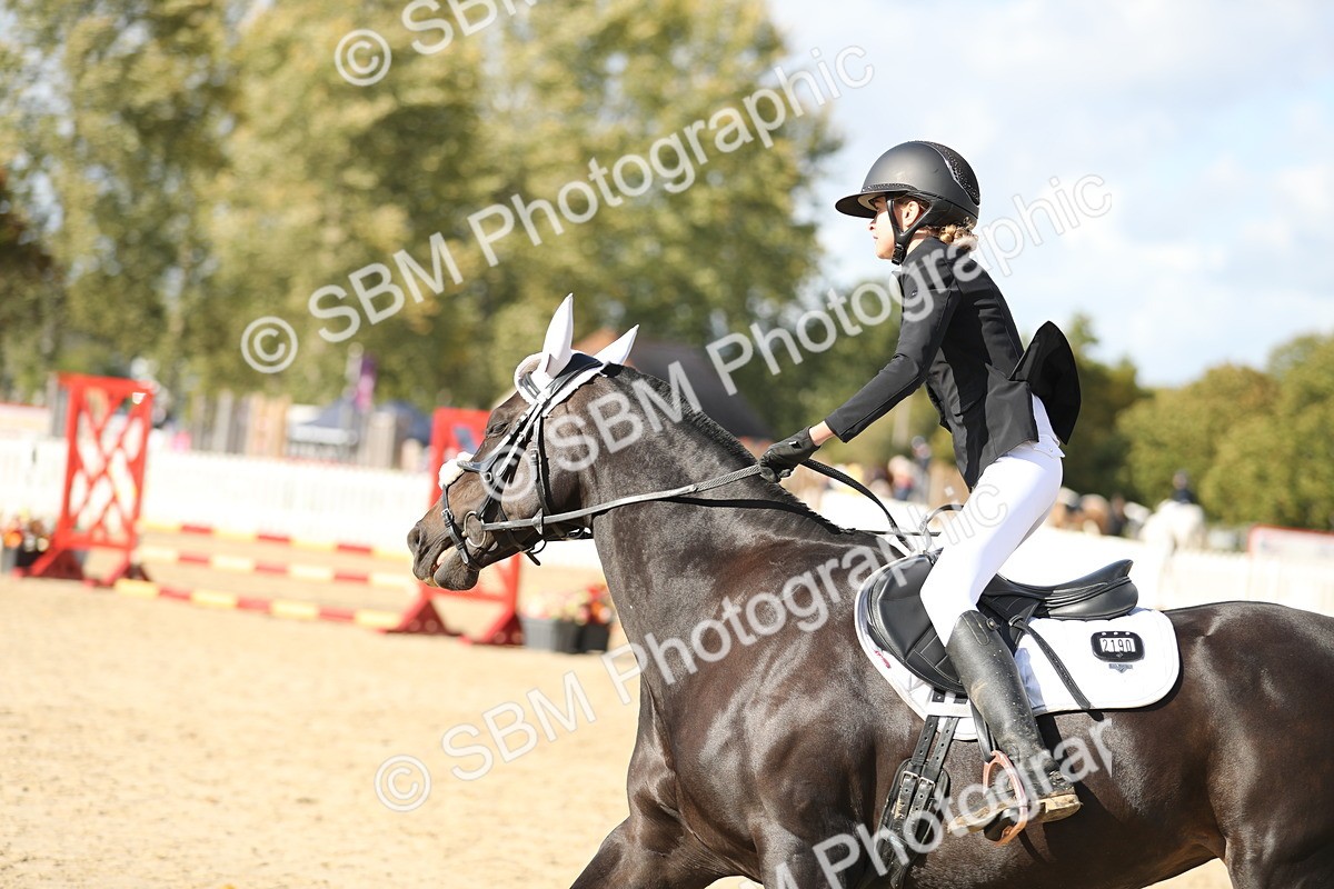 SBM_49560 - J22 - Junior Horse 65cm Championship