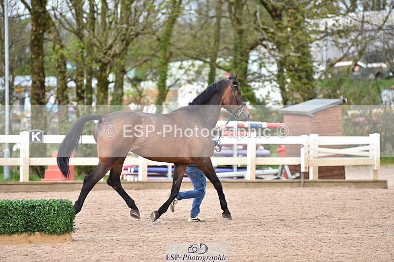 240417A-145920-00694 - 2pm to 3pm