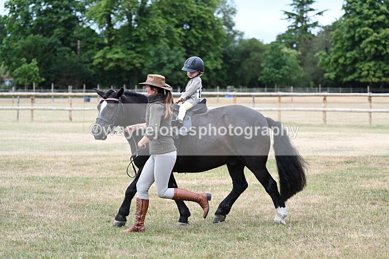 WJ7_9834 - Class 1 Lead Rein Pony