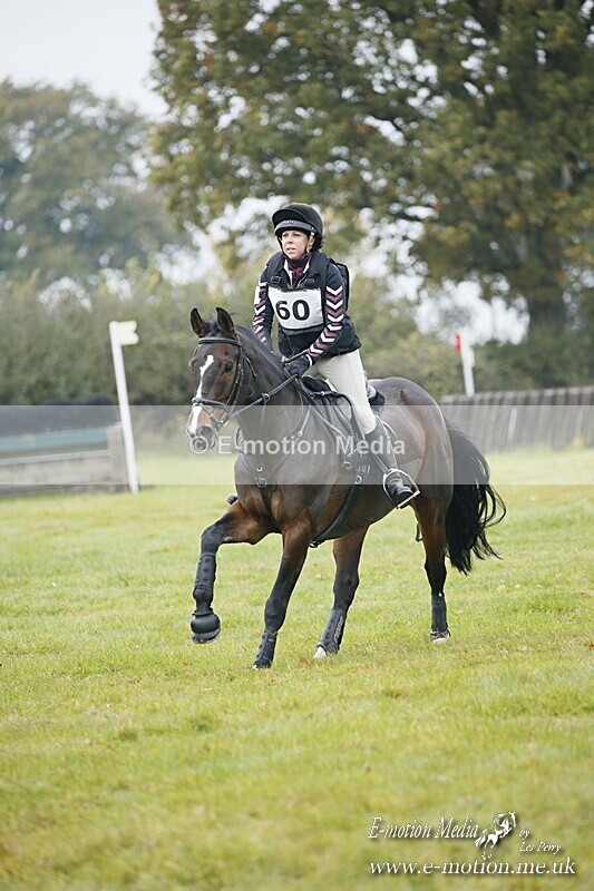 WWHT 181020 WWHT 181020 524 - WWEC Open Novice (0.80m) 18/10/20