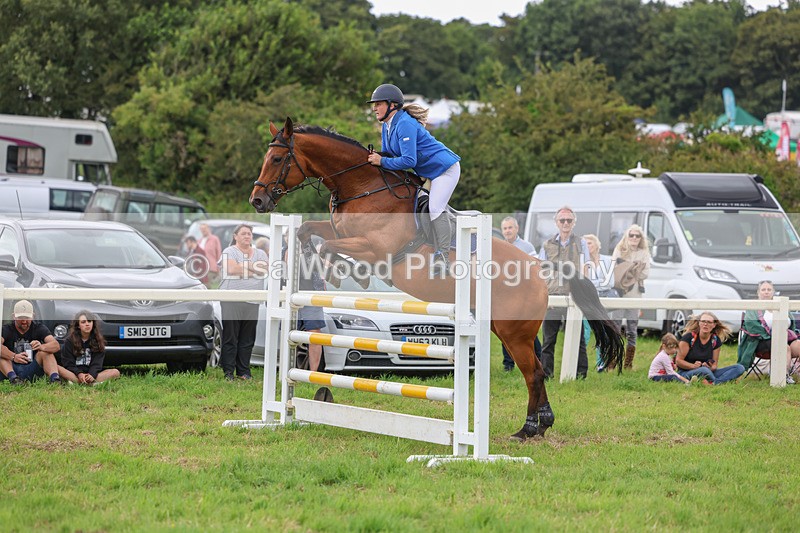 3E7A8175 - Class 7: Senior Newcomers/1.10m open