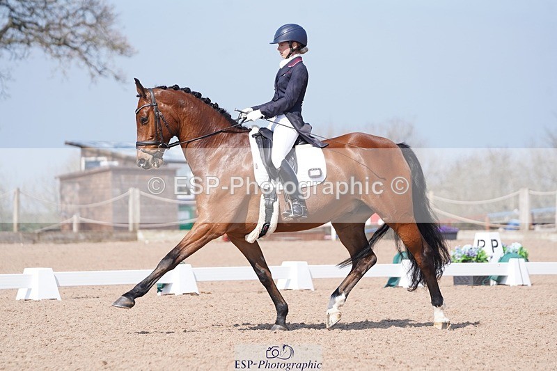 250404-122648-05658 - 028-Elizabeth.Allen-Heraldik