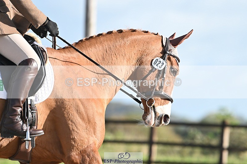 231105-112621-00929 - Cls 3 Prelim 12 11.18 to 12.35 break