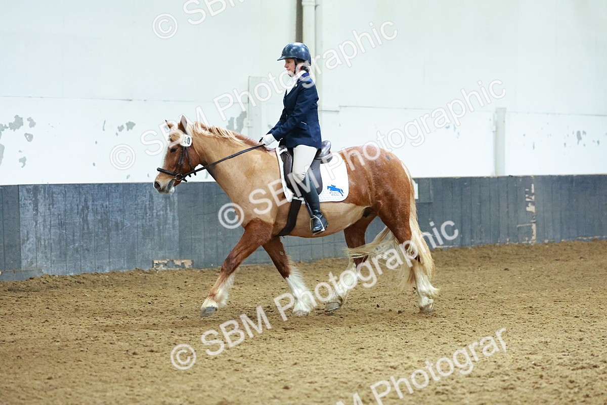SBM_003663 - Novice 2