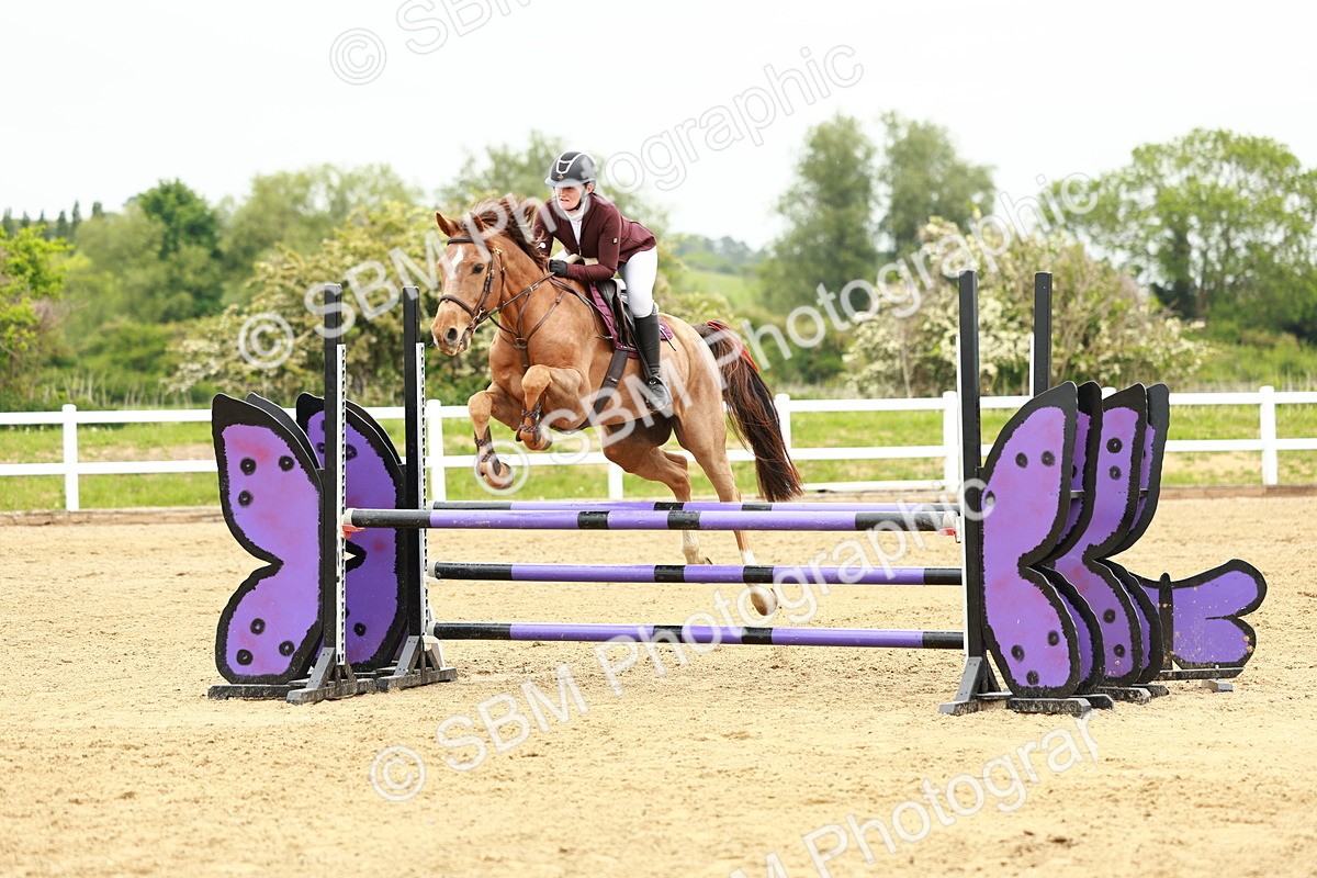 SBM_000397 - Class 2 - Senior British Novice - 90cm