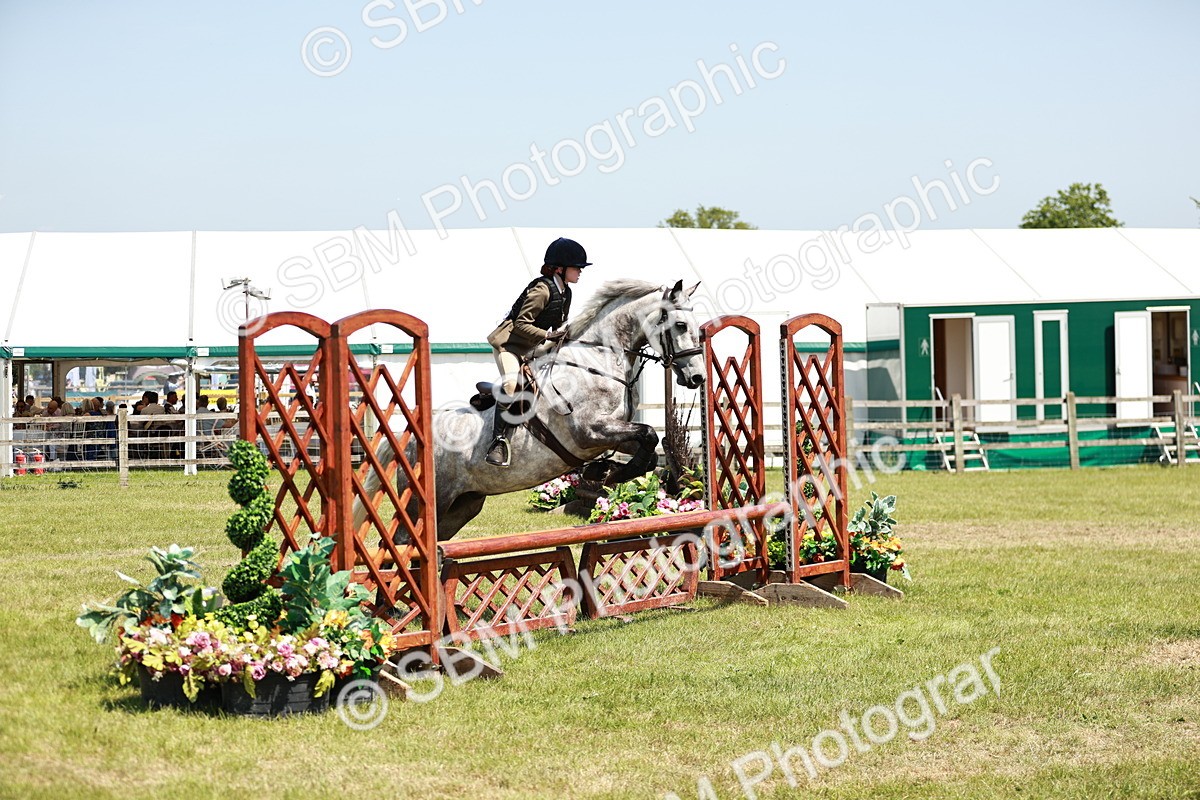 SBM_16337 - Class 110-111 - Training Stakes (70cms 80cms)