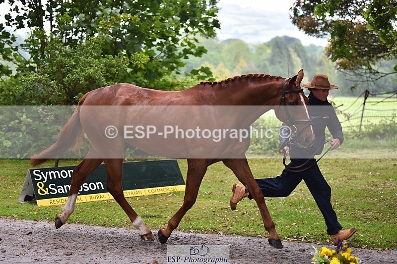 240522-164138-01089 - 216-I'M_A_WONDER-Rosie_Bradley-Hole