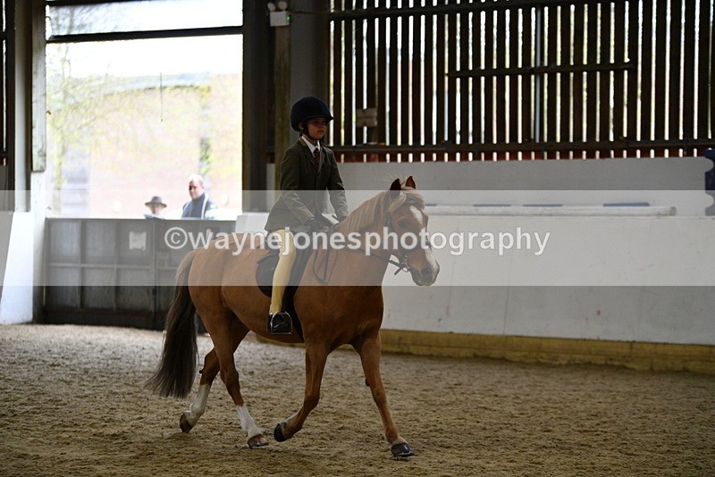 WJ5_7257 - Class 11 Ridden PC - RC Pony