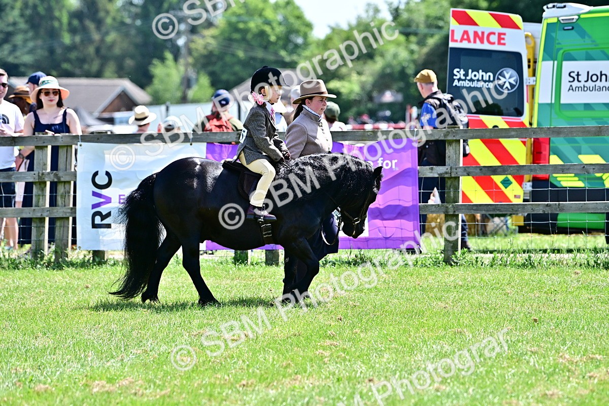 SBM_05765 - Class 59-60 - TSR M&M  Lear Rein and First Ridden Amateur of the year