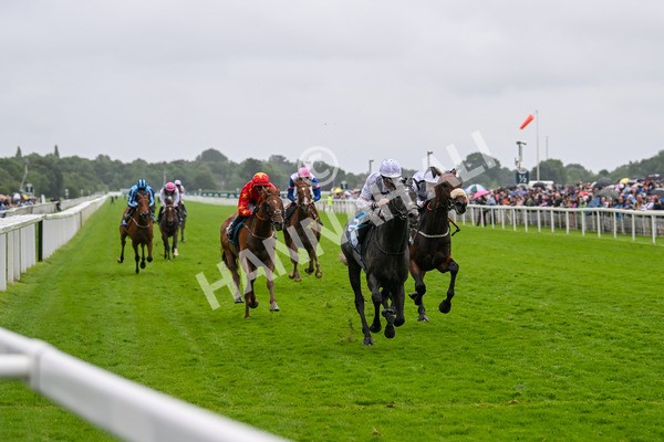 130724-Race 4-Alsakib-7475 - Race 4 3.45pm John Smith's Silver Cup Stakes