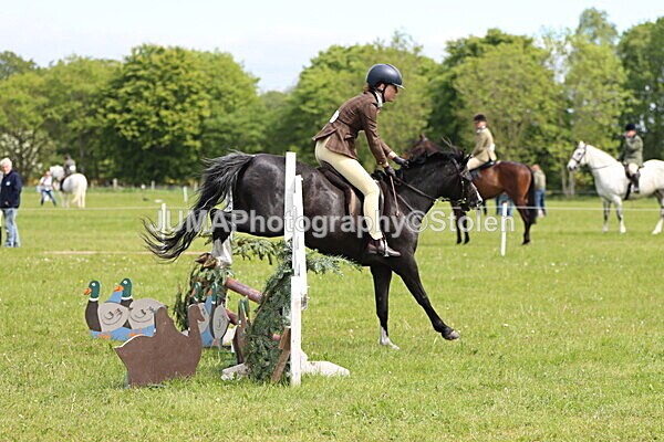 IMG_3219 - Working Hunter