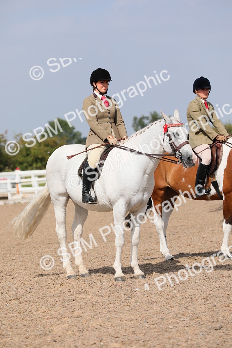 SBM_13500 - Class 308 Ridden Coloured Horse