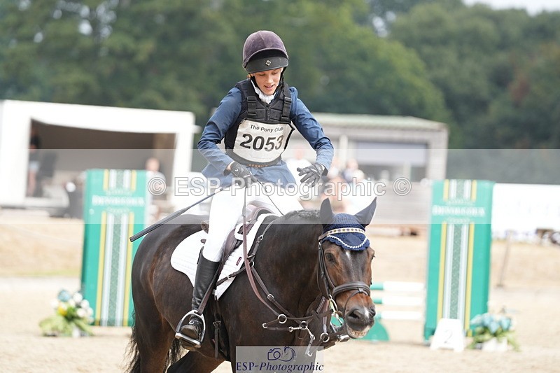 250824A-121522-35892 - 2053-Ava.Sampson-Chameleon