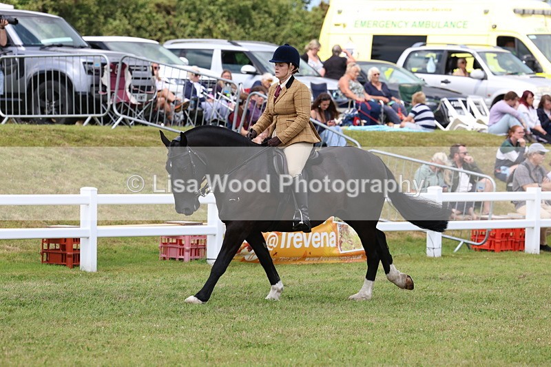 3E7A2004 - Class 10: Open Cob