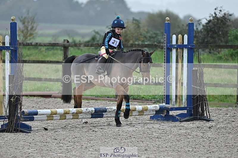 241110-094533-00067 - 40cm Showjumping