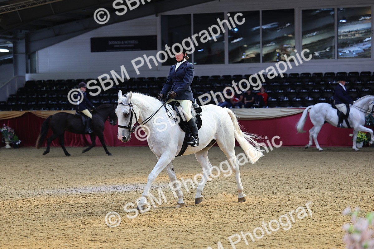 SBM_24548 - Class 906 - Supreme Final - Ridden Pre Vet