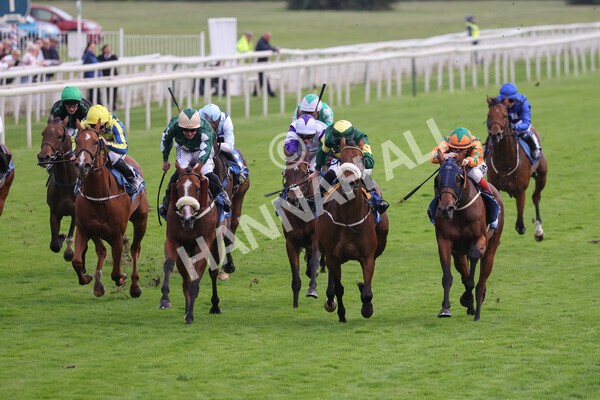yr24092021r7-45 - Race 7 4.55pm William Hill Free or Four Fillies' Stakes