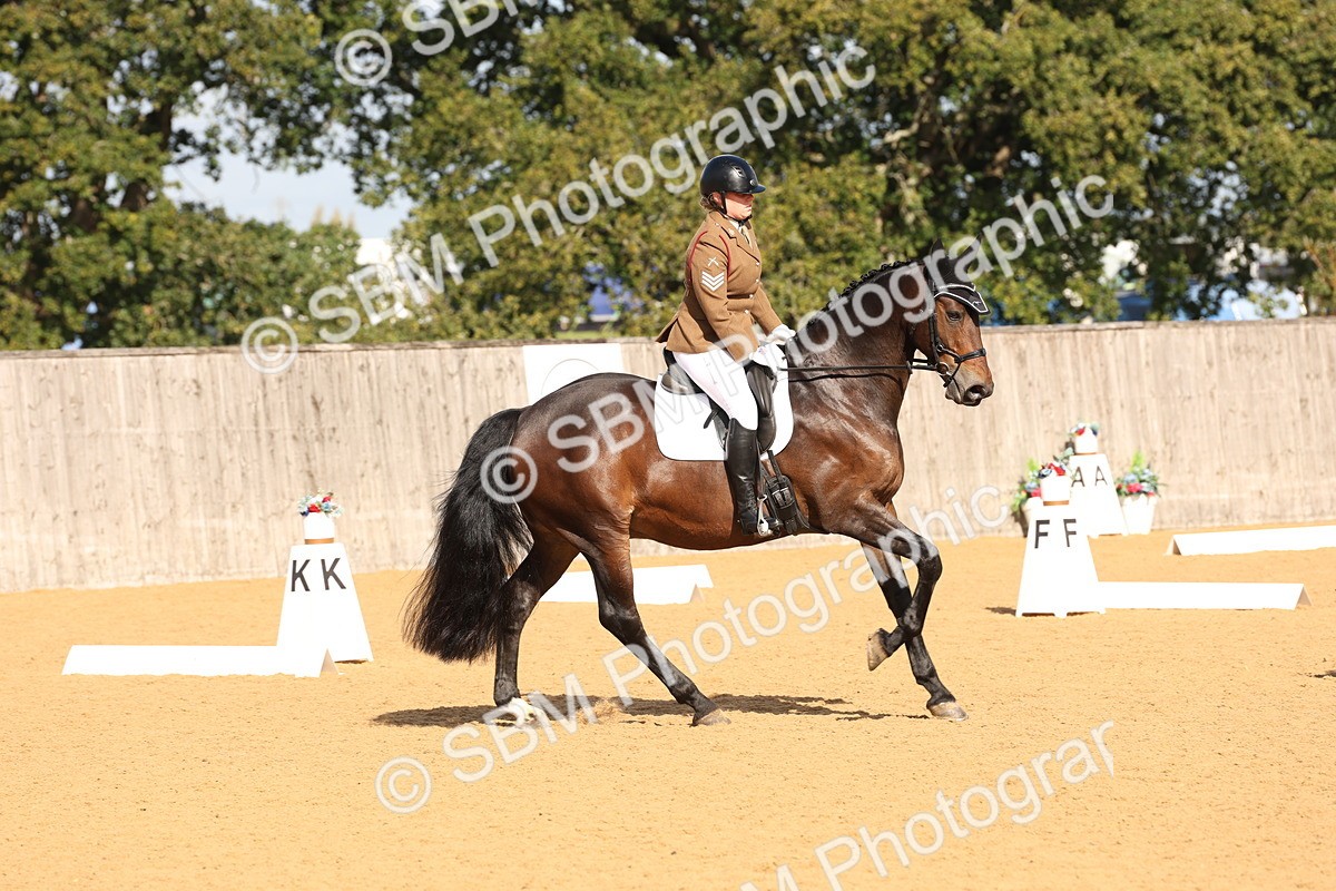 SBM_16246 - D10 - Small Tour Championship Prelim 2