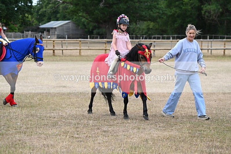 WJ6_8653 - Class 11 Fancy Dress